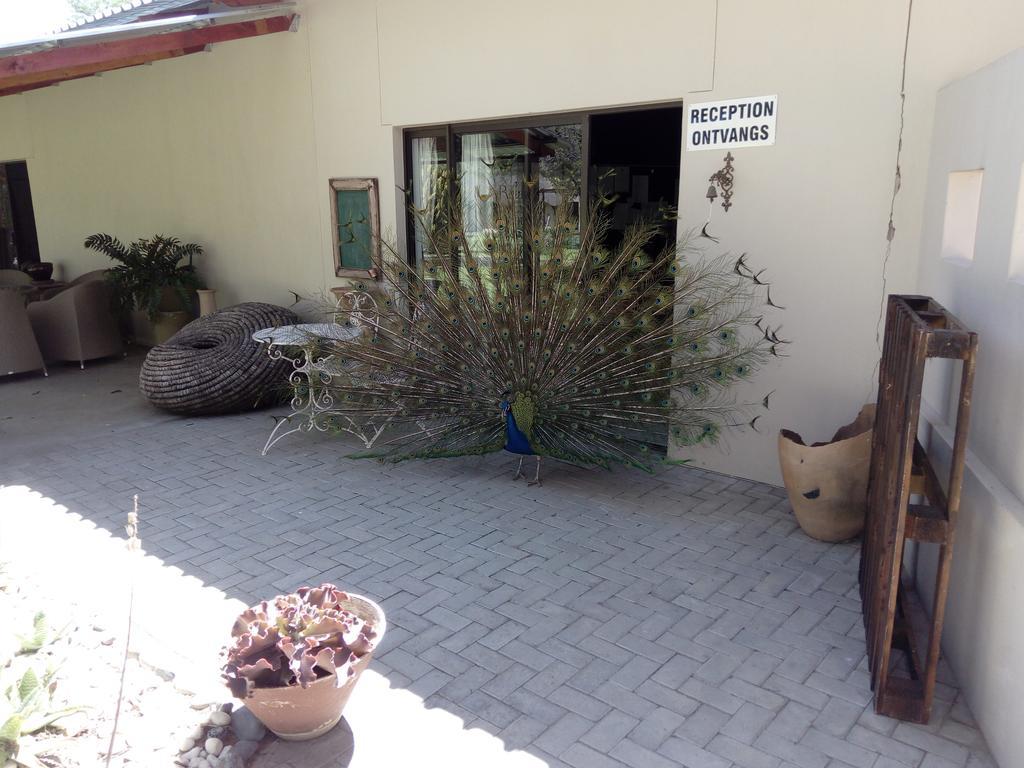 Xain Quaz Camp Otel Gobabis Dış mekan fotoğraf