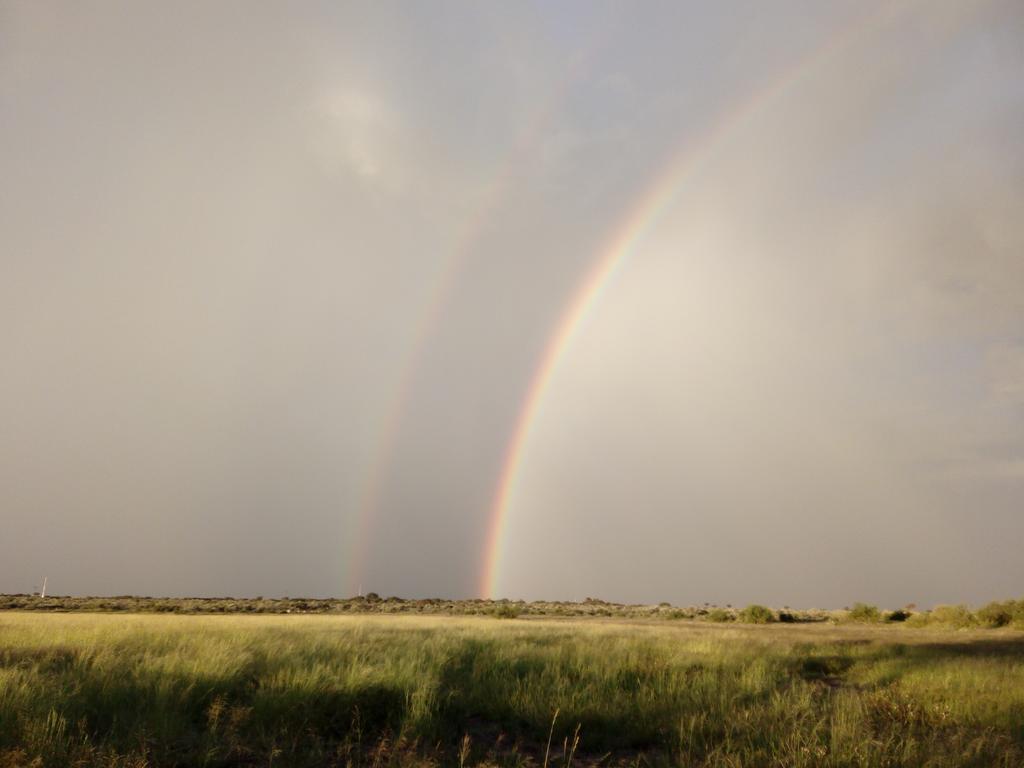Xain Quaz Camp Otel Gobabis Dış mekan fotoğraf